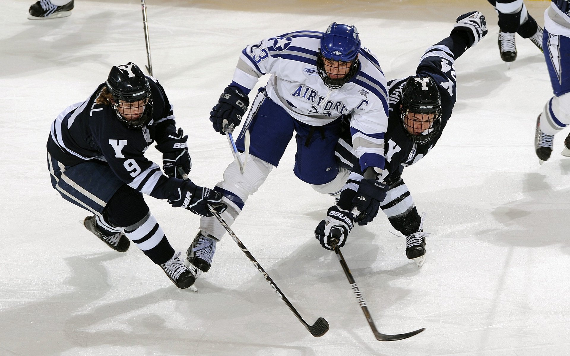 世界网球排名出现小幅变化