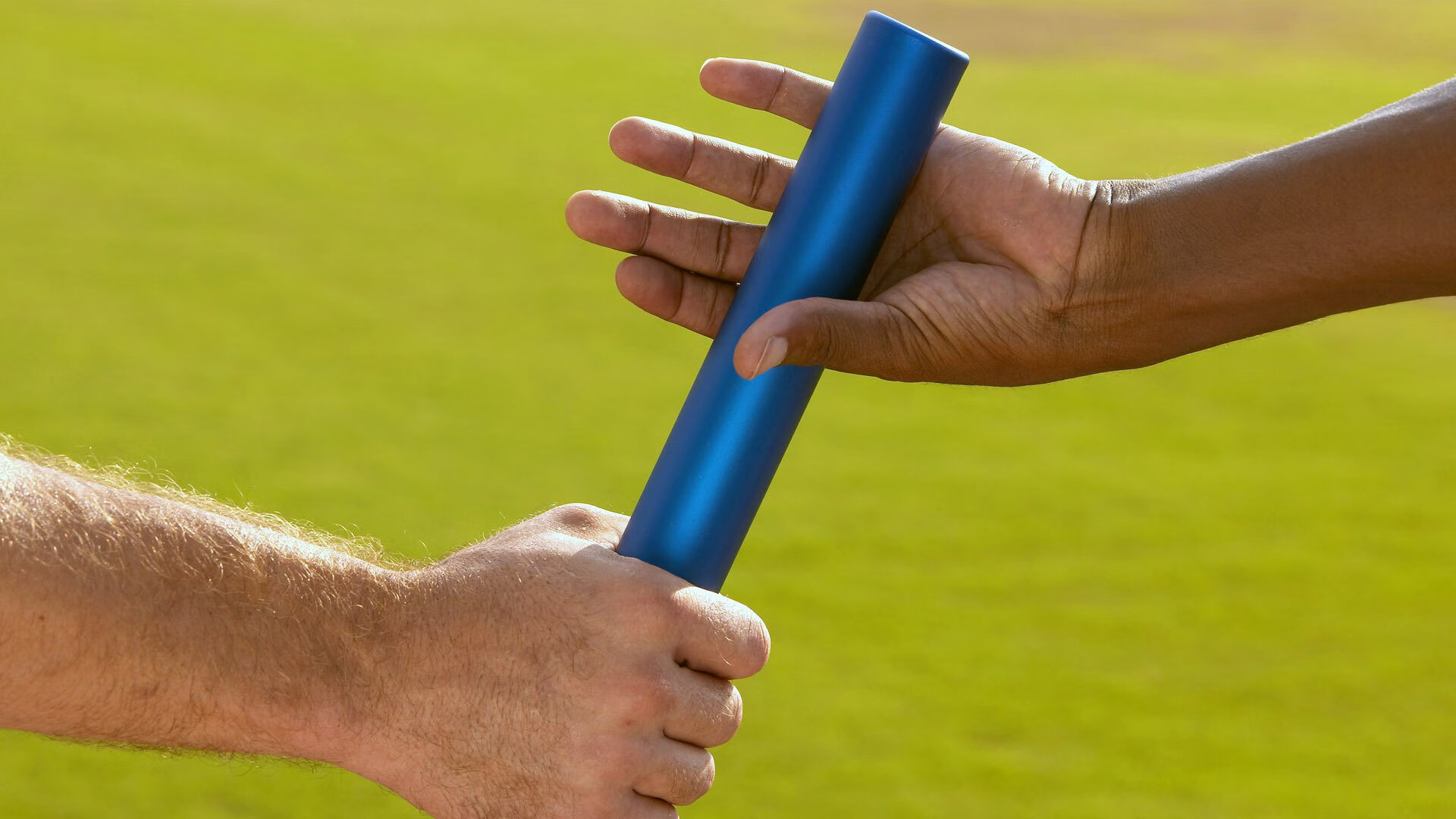 国际泳联启动2026年跳水新评分系统试运行